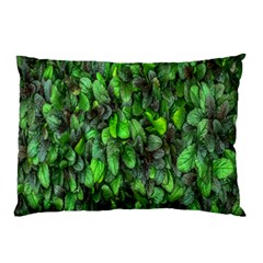 The Leaves Plants Hwalyeob Nature Pillow Case by Nexatart