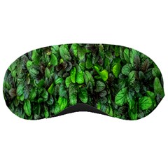 The Leaves Plants Hwalyeob Nature Sleeping Masks by Nexatart