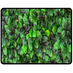 The Leaves Plants Hwalyeob Nature Fleece Blanket (medium)  by Nexatart