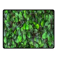 The Leaves Plants Hwalyeob Nature Fleece Blanket (small) by Nexatart