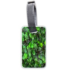 The Leaves Plants Hwalyeob Nature Luggage Tags (one Side)  by Nexatart