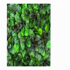 The Leaves Plants Hwalyeob Nature Small Garden Flag (two Sides) by Nexatart