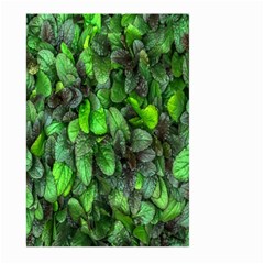 The Leaves Plants Hwalyeob Nature Large Garden Flag (two Sides) by Nexatart