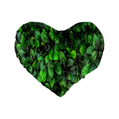 The Leaves Plants Hwalyeob Nature Standard 16  Premium Heart Shape Cushions by Nexatart