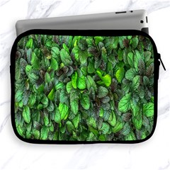 The Leaves Plants Hwalyeob Nature Apple Ipad 2/3/4 Zipper Cases by Nexatart