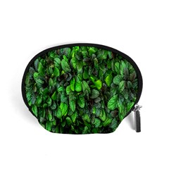 The Leaves Plants Hwalyeob Nature Accessory Pouches (small)  by Nexatart