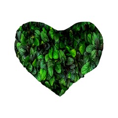 The Leaves Plants Hwalyeob Nature Standard 16  Premium Flano Heart Shape Cushions by Nexatart