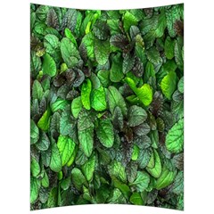 The Leaves Plants Hwalyeob Nature Back Support Cushion by Nexatart