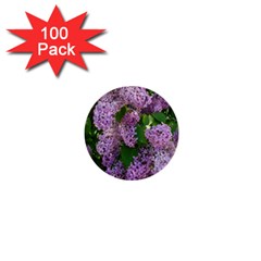 Lilacs 2 1  Mini Buttons (100 Pack)  by dawnsiegler