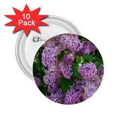 Lilacs 2 2 25  Buttons (10 Pack)  by dawnsiegler