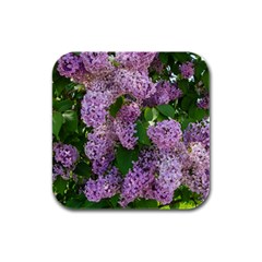 Lilacs 2 Rubber Square Coaster (4 Pack)  by dawnsiegler