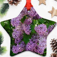 Lilacs 2 Star Ornament (two Sides) by dawnsiegler