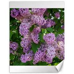 Lilacs 2 Canvas 12  X 16   by dawnsiegler