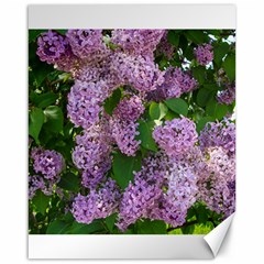 Lilacs 2 Canvas 16  X 20   by dawnsiegler