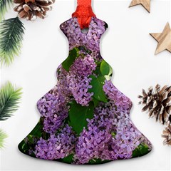 Lilacs 2 Ornament (christmas Tree)  by dawnsiegler