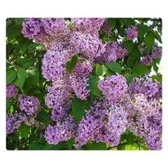 Lilacs 2 Double Sided Flano Blanket (small)  by dawnsiegler