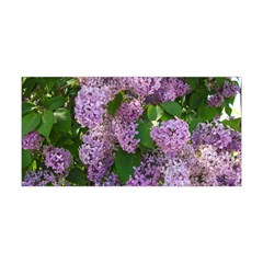 Lilacs 2 Yoga Headband by dawnsiegler