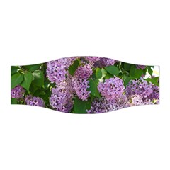 Lilacs 2 Stretchable Headband by dawnsiegler