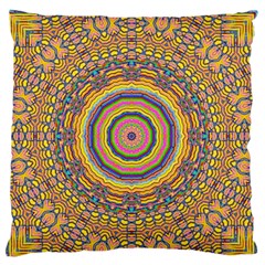 Wood Festive Rainbow Mandala Standard Flano Cushion Case (two Sides) by pepitasart