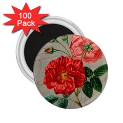 Flower Floral Background Red Rose 2 25  Magnets (100 Pack)  by Nexatart