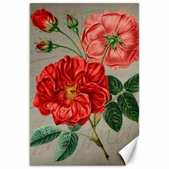 Flower Floral Background Red Rose Canvas 24  X 36  by Nexatart