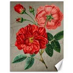 Flower Floral Background Red Rose Canvas 36  X 48   by Nexatart