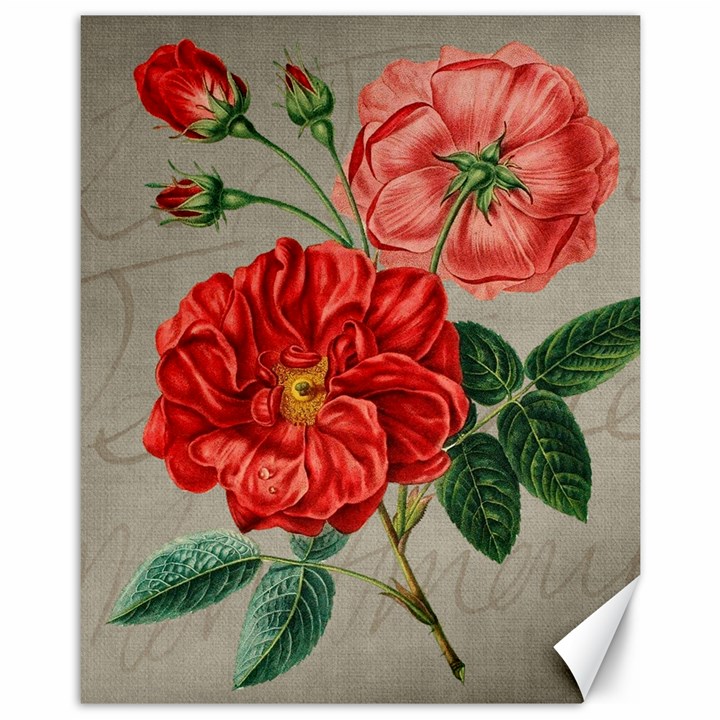 Flower Floral Background Red Rose Canvas 11  x 14  