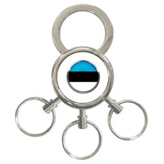 Estonia Country Flag Countries 3-ring Key Chains by Nexatart