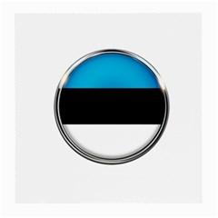 Estonia Country Flag Countries Medium Glasses Cloth (2-Side)