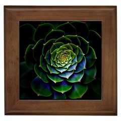 Nature Desktop Flora Color Pattern Framed Tiles by Nexatart