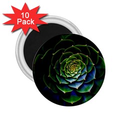 Nature Desktop Flora Color Pattern 2 25  Magnets (10 Pack)  by Nexatart