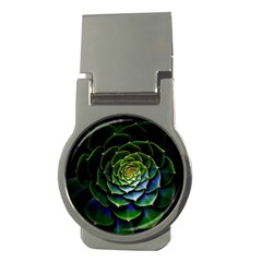 Nature Desktop Flora Color Pattern Money Clips (round)  by Nexatart