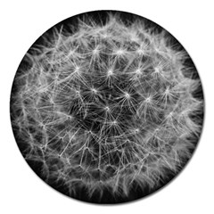 Dandelion Fibonacci Abstract Flower Magnet 5  (round) by Nexatart