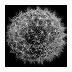 Dandelion Fibonacci Abstract Flower Medium Glasses Cloth (2-side) by Nexatart