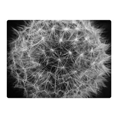 Dandelion Fibonacci Abstract Flower Double Sided Flano Blanket (mini)  by Nexatart