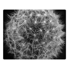 Dandelion Fibonacci Abstract Flower Double Sided Flano Blanket (large)  by Nexatart