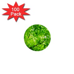 Green Wood The Leaves Twig Leaf Texture 1  Mini Buttons (100 Pack)  by Nexatart