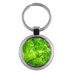 Green Wood The Leaves Twig Leaf Texture Key Chains (round)  by Nexatart