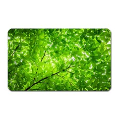 Green Wood The Leaves Twig Leaf Texture Magnet (rectangular) by Nexatart