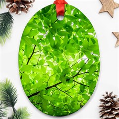 Green Wood The Leaves Twig Leaf Texture Oval Ornament (two Sides) by Nexatart