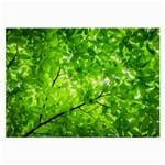 Green Wood The Leaves Twig Leaf Texture Large Glasses Cloth Front