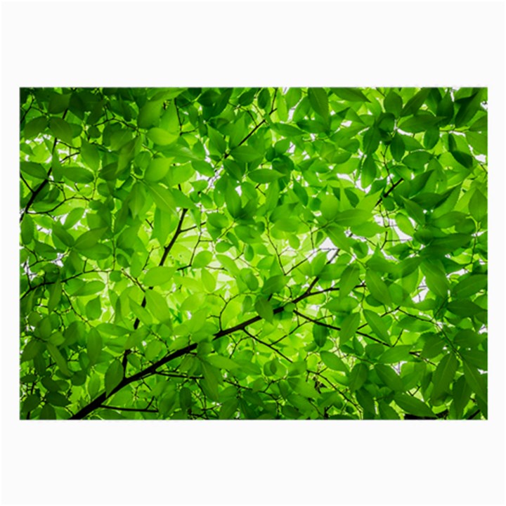 Green Wood The Leaves Twig Leaf Texture Large Glasses Cloth