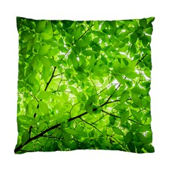 Green Wood The Leaves Twig Leaf Texture Standard Cushion Case (one Side) by Nexatart