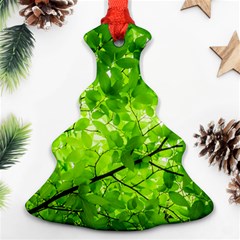 Green Wood The Leaves Twig Leaf Texture Ornament (christmas Tree)  by Nexatart