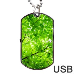 Green Wood The Leaves Twig Leaf Texture Dog Tag Usb Flash (one Side) by Nexatart