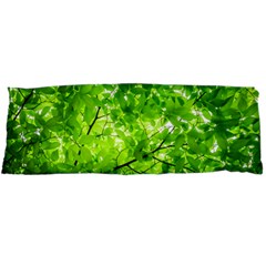 Green Wood The Leaves Twig Leaf Texture Body Pillow Case Dakimakura (two Sides) by Nexatart