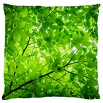 Green Wood The Leaves Twig Leaf Texture Large Cushion Case (Two Sides) Front