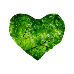 Green Wood The Leaves Twig Leaf Texture Standard 16  Premium Flano Heart Shape Cushions by Nexatart