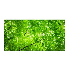 Green Wood The Leaves Twig Leaf Texture Satin Wrap by Nexatart