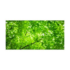 Green Wood The Leaves Twig Leaf Texture Yoga Headband by Nexatart